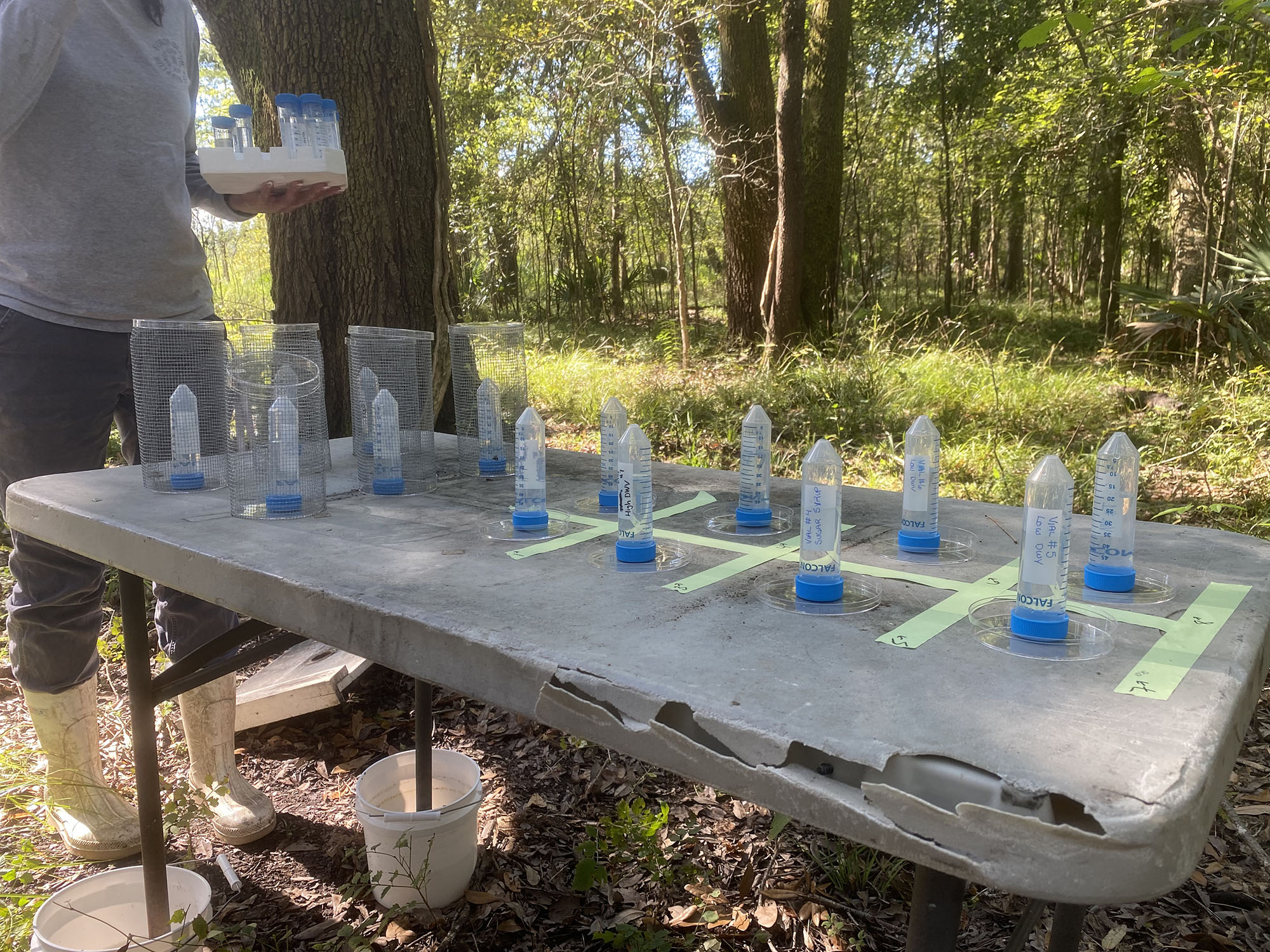 Labeled feeders on a table during field test
