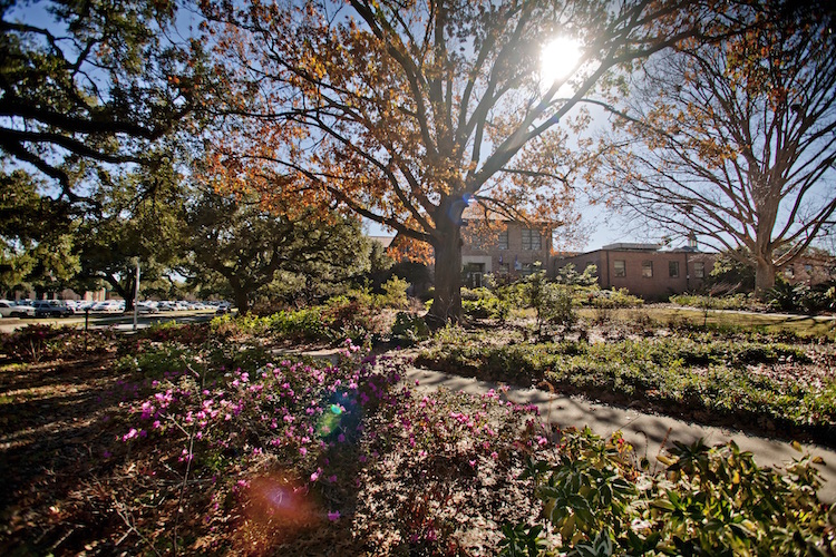 academic advising promo image