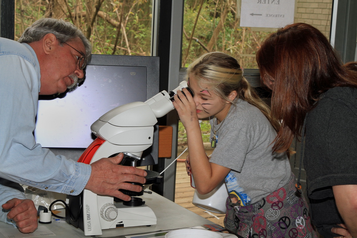 fossil presentation