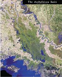 2004 Atchafalaya Basin Map