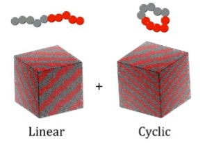 Cyclic Block Copolymers 