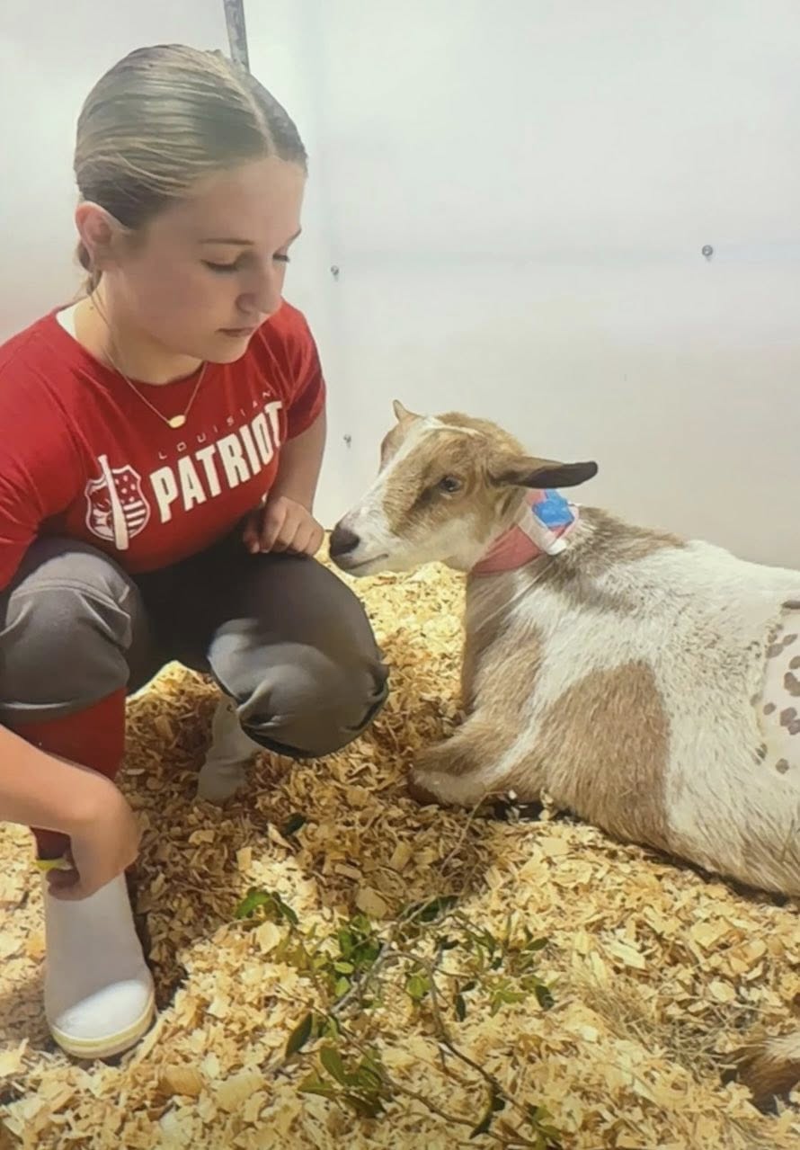 Firecracker, a goat, with her owner